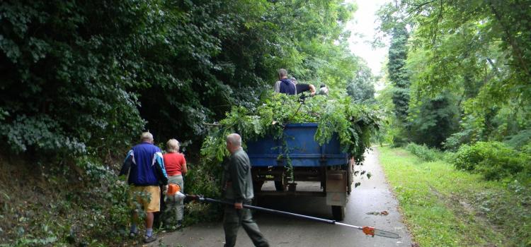 20200815 Onkentes Faluszepito 28